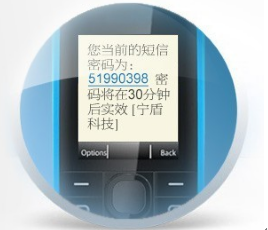 河南省国税局Citrix实施DKEY短信双因素认证